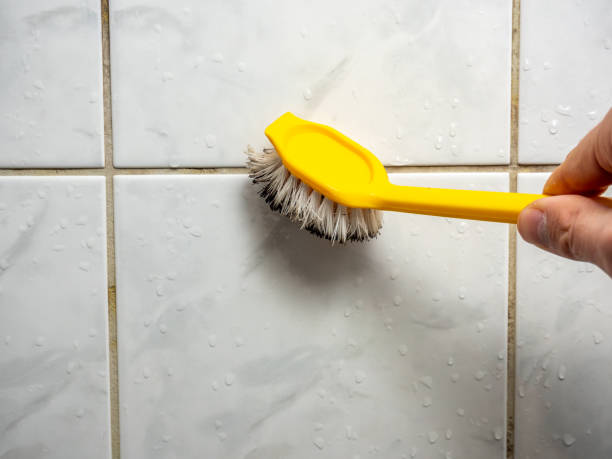 Best Mold Testing and Inspection Services in Rainsville, AL