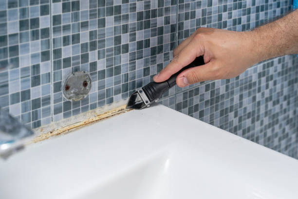 Professional Mold Remediation in Rainsville, AL